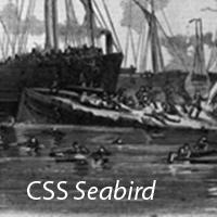 CSS Seabird
